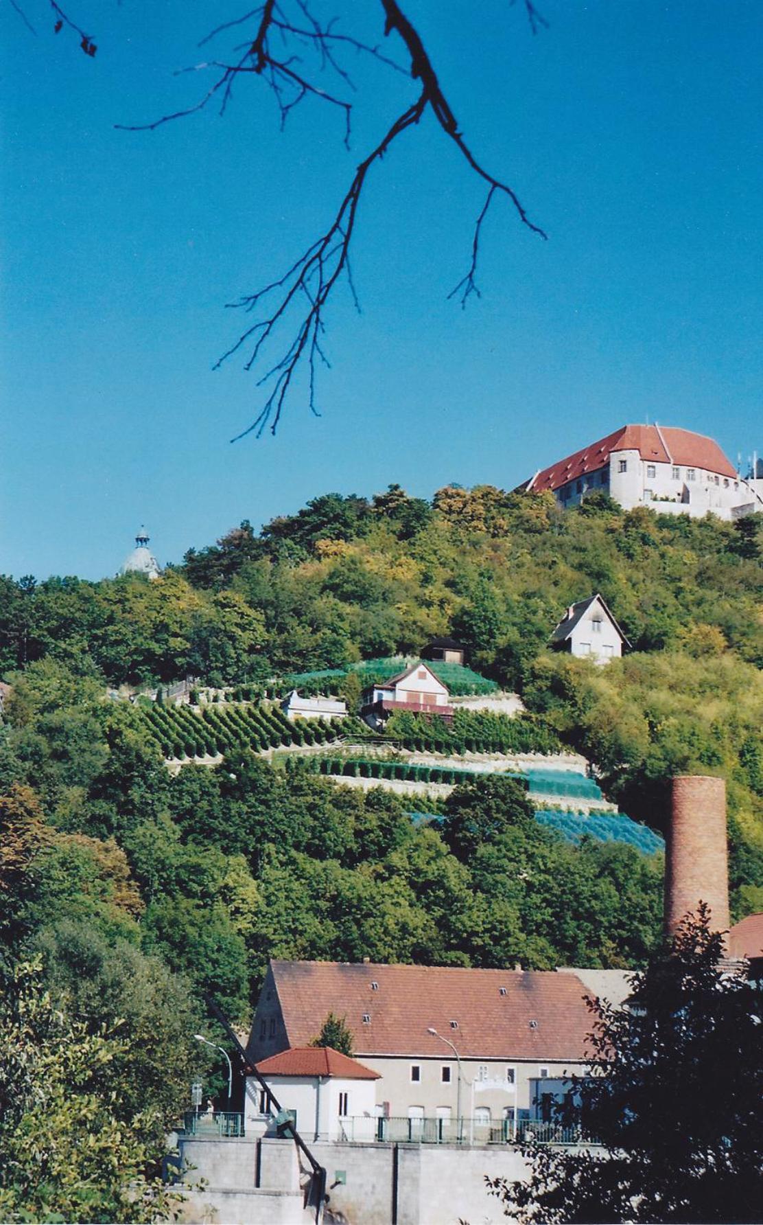 Hotel Garni Zum Rebstock Naumburg  Bagian luar foto