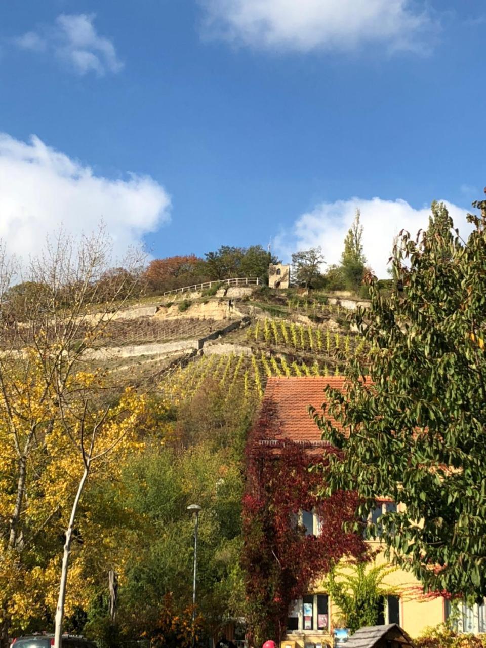 Hotel Garni Zum Rebstock Naumburg  Bagian luar foto